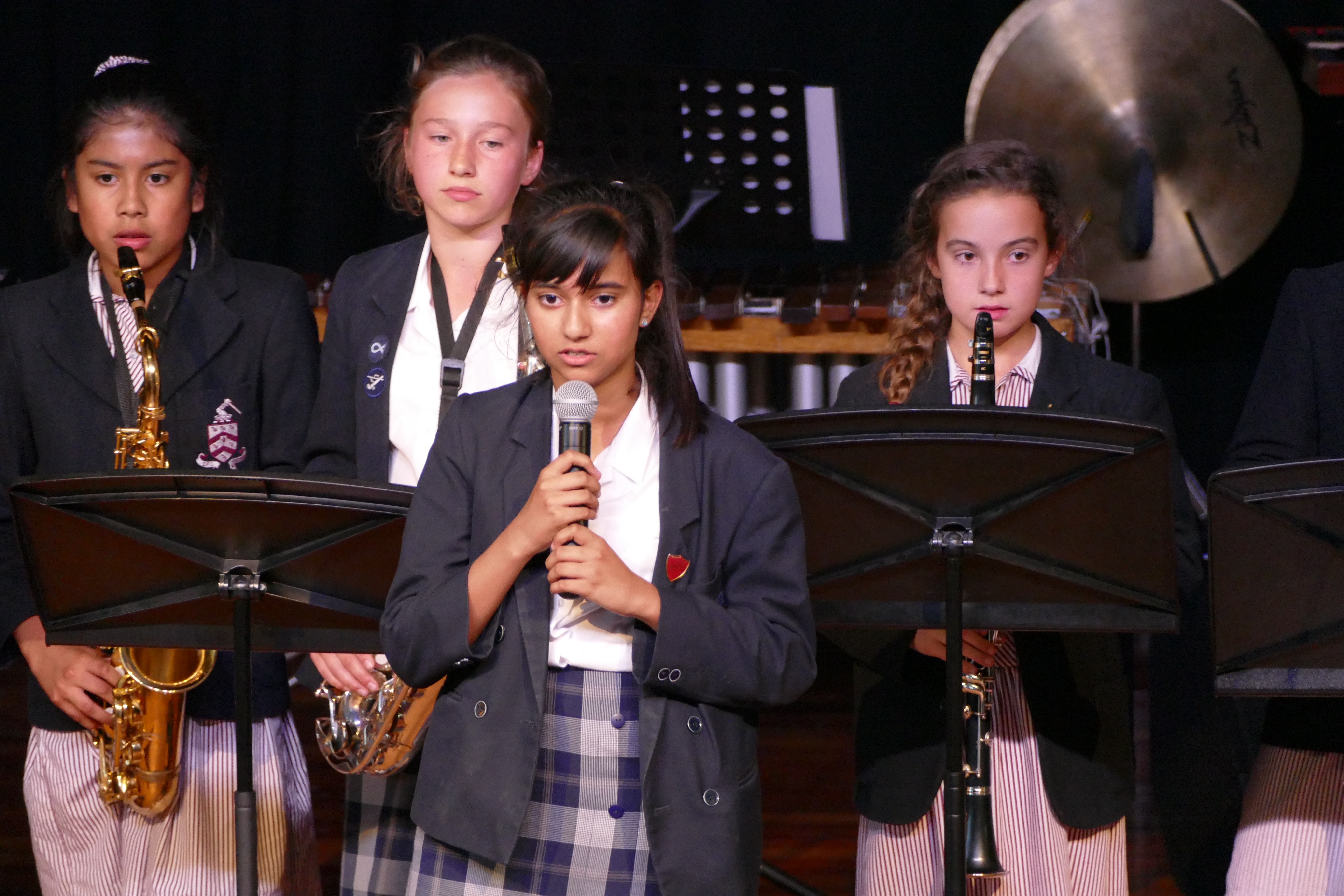 Summer Concert, 17th June 2016